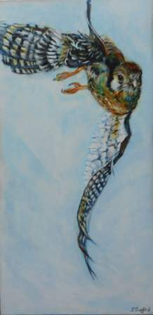 Out of the Blue (Kestrel)
12" x 24”
acrylic on canvas Out of the Blue (Kestrel)
12" x 24”
acrylic on canvas
